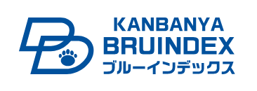 BRUINDEX